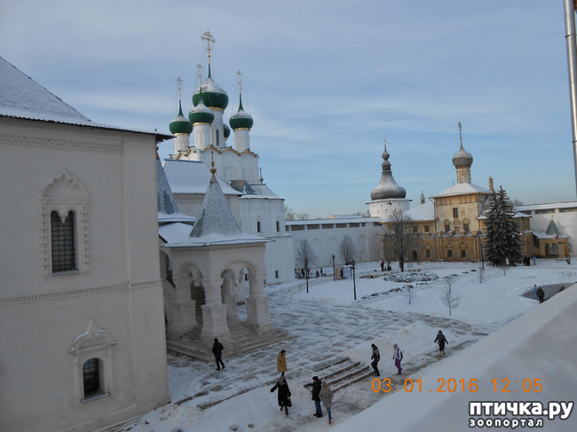 ���� 12: ������ �������