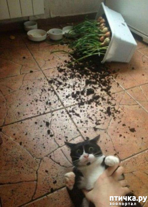 ����: ��������� �� ���������...