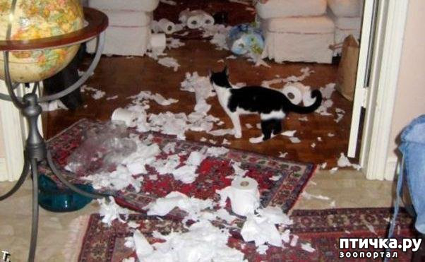 ���� 2: ��������� �� ���������...