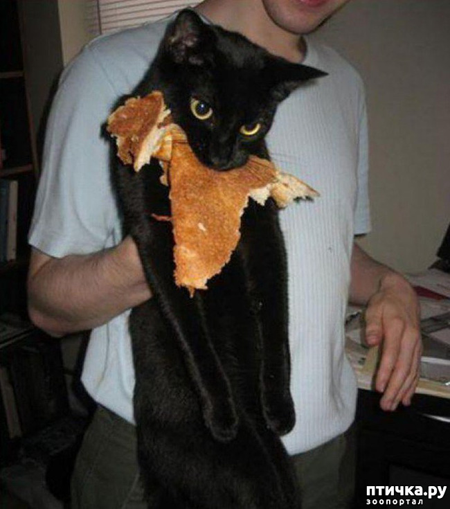 ���� 3: ��������� �� ���������...