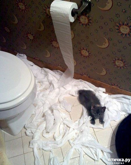 ���� 5: ��������� �� ���������...