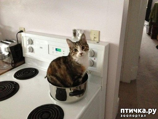 ���� 6: ��������� �� ���������...