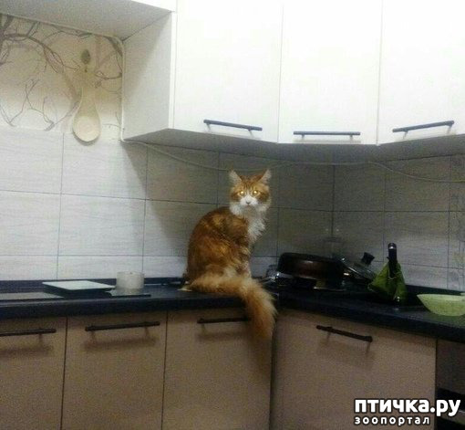 ���� 7: ��������� �� ���������...