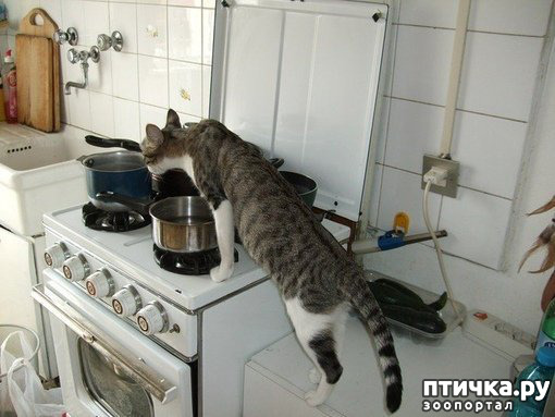 ���� 9: ��������� �� ���������...