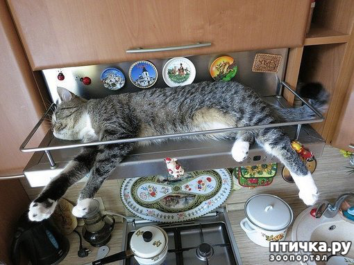 ���� 10: ��������� �� ���������...