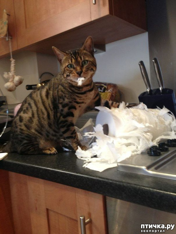 ���� 12: ��������� �� ���������...