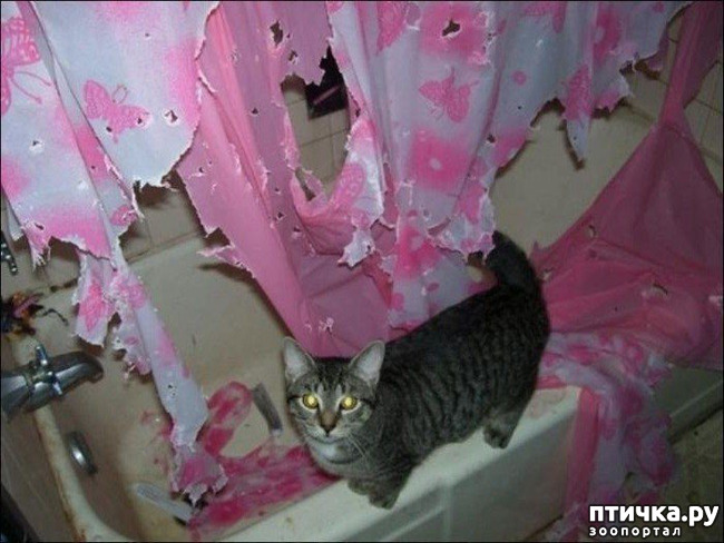 ���� 13: ��������� �� ���������...