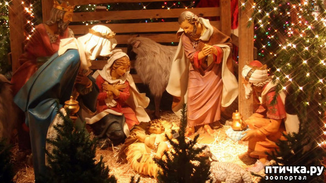 ���� 1: � ���������