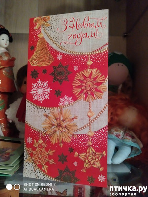 ����: ��� ����������- ���������...