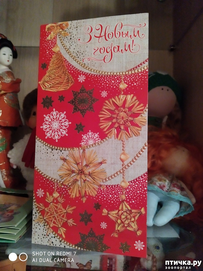 ���� 1: ��� ����������- ���������...