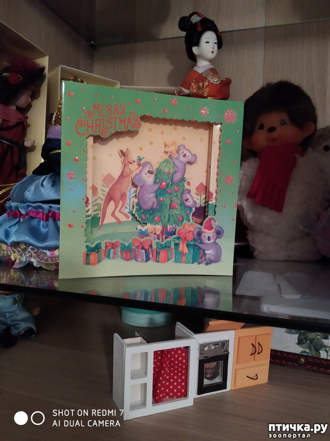 ���� 2: ��� ����������- ���������...