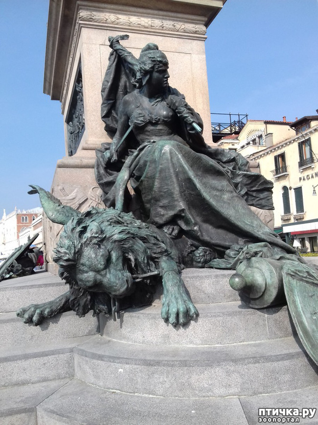 ���� 9: �������