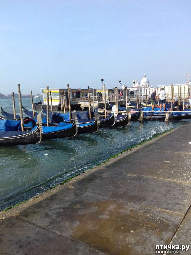 ���� 16: �������