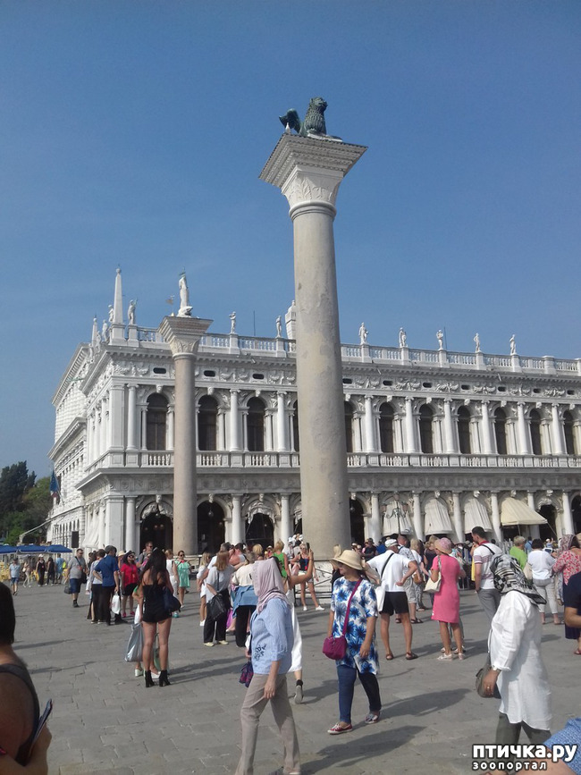 ���� 11: �������