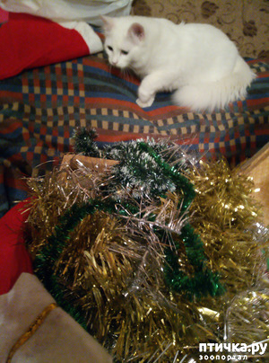 ����: �������� ��� � ������ ����