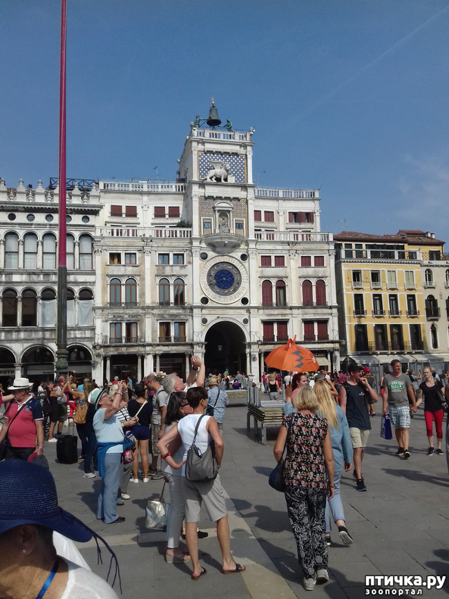 ���� 12: �������