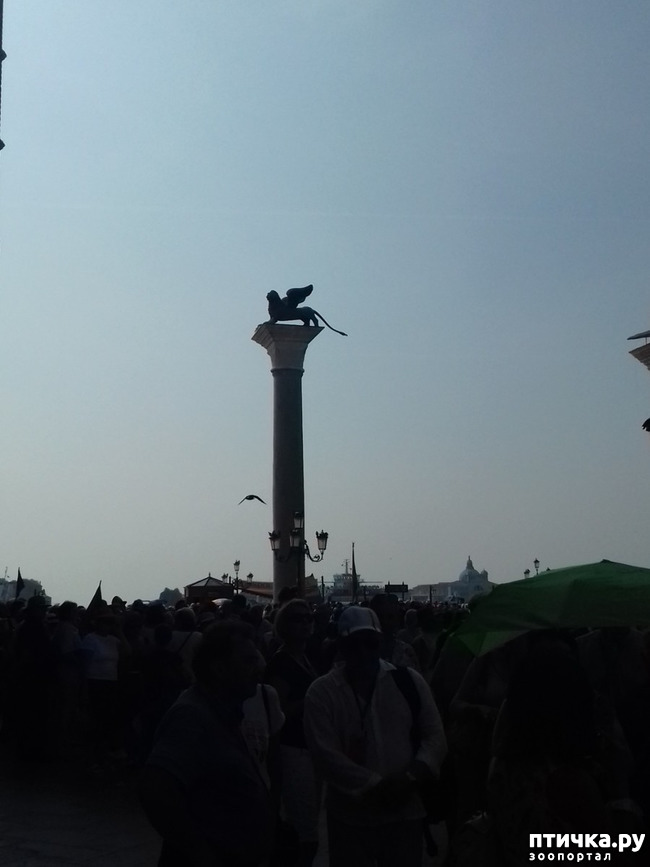 ���� 13: �������