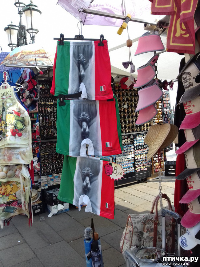 ���� 14: �������