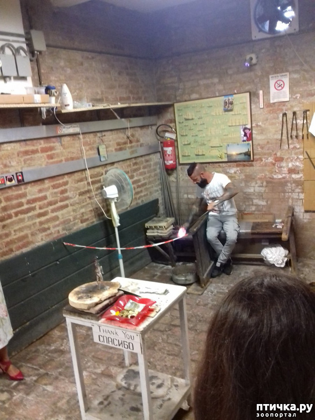 ���� 37: �������