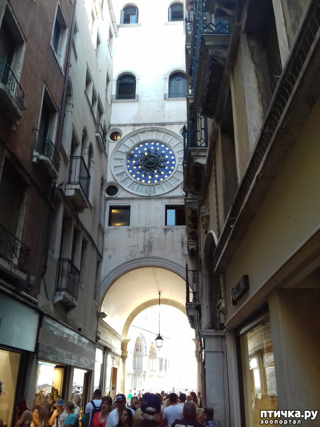 ���� 15: �������