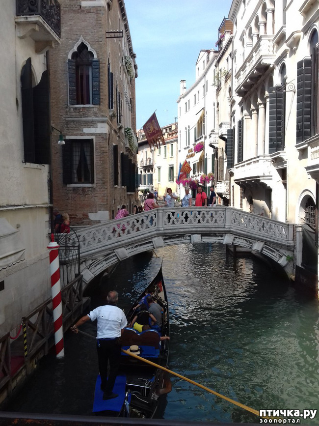 ���� 17: �������