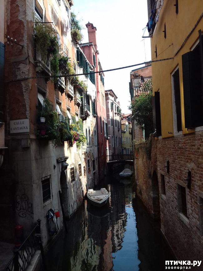 ���� 18: �������