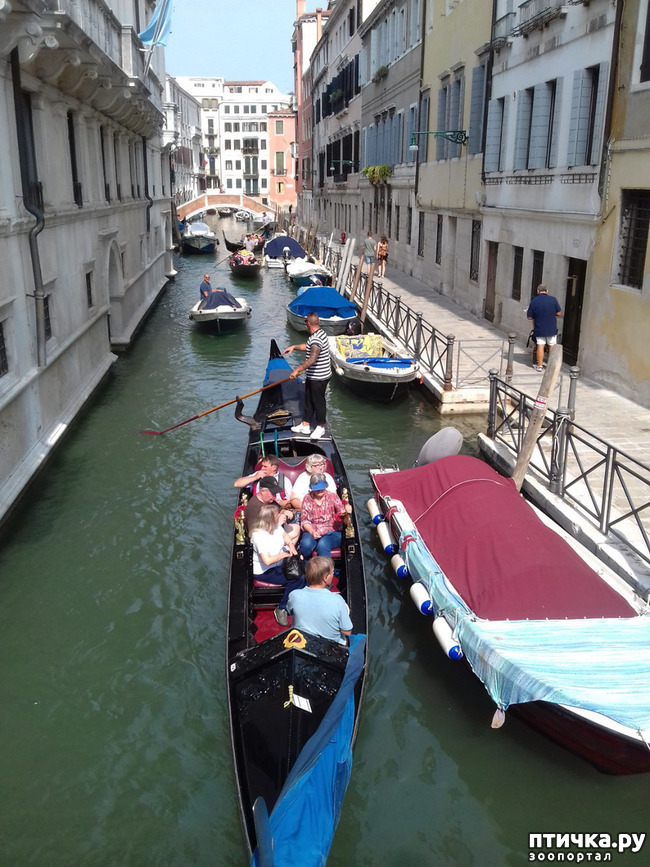 ���� 19: �������