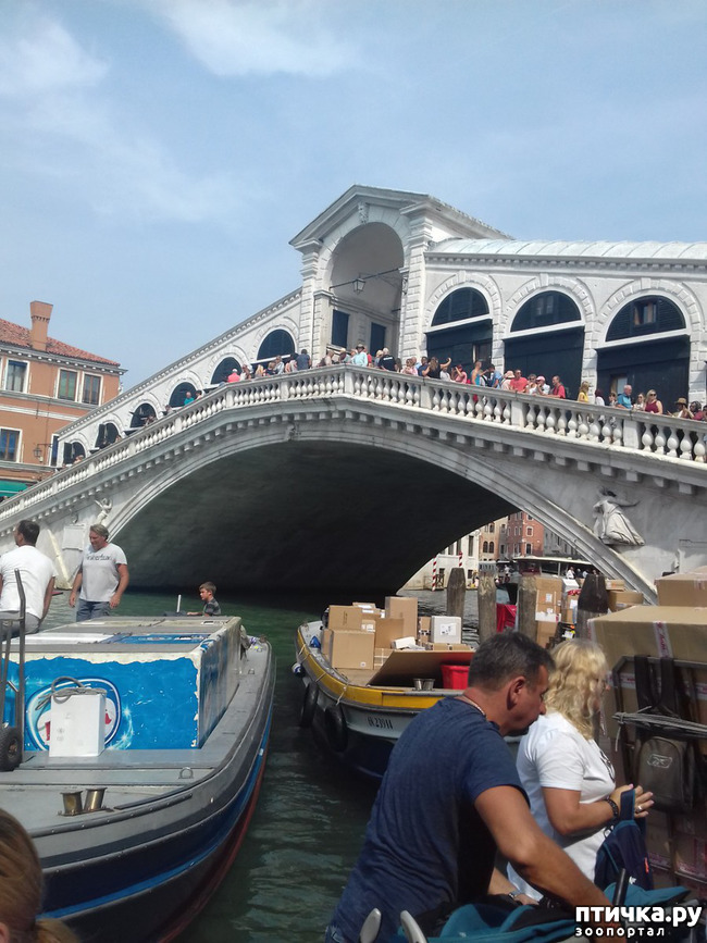 ���� 20: �������