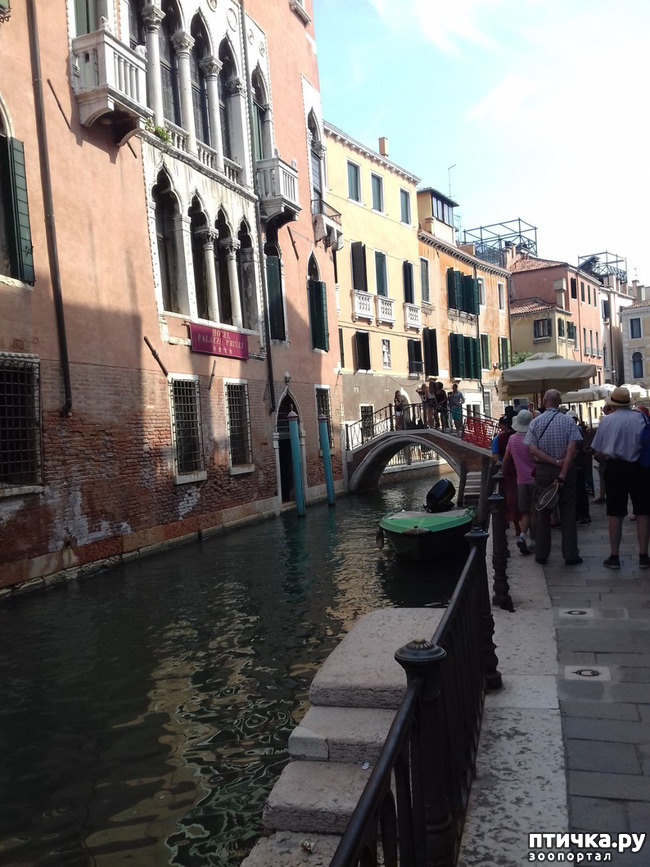 ���� 21: �������