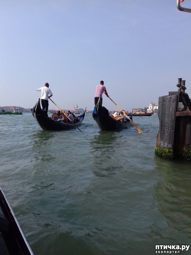 ���� 1: �������