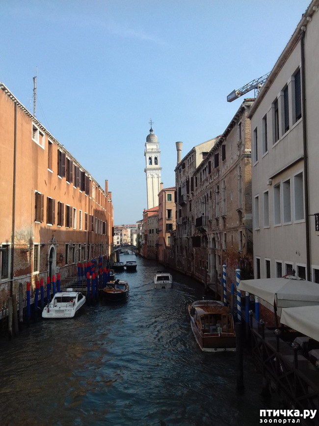 ���� 22: �������