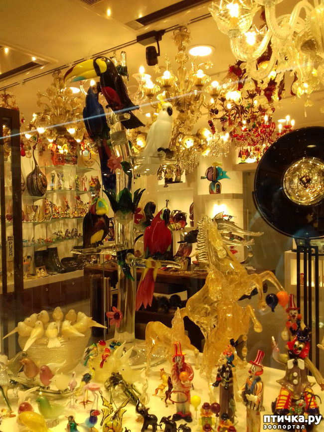 ���� 39: �������