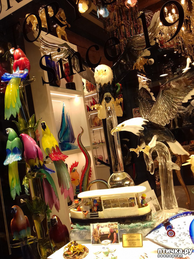 ���� 40: �������