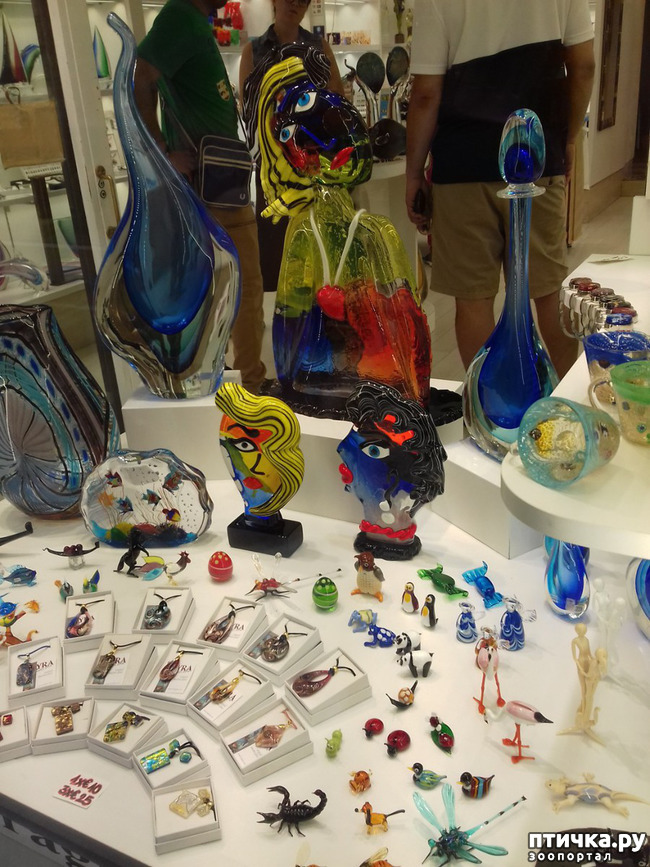 ���� 41: �������