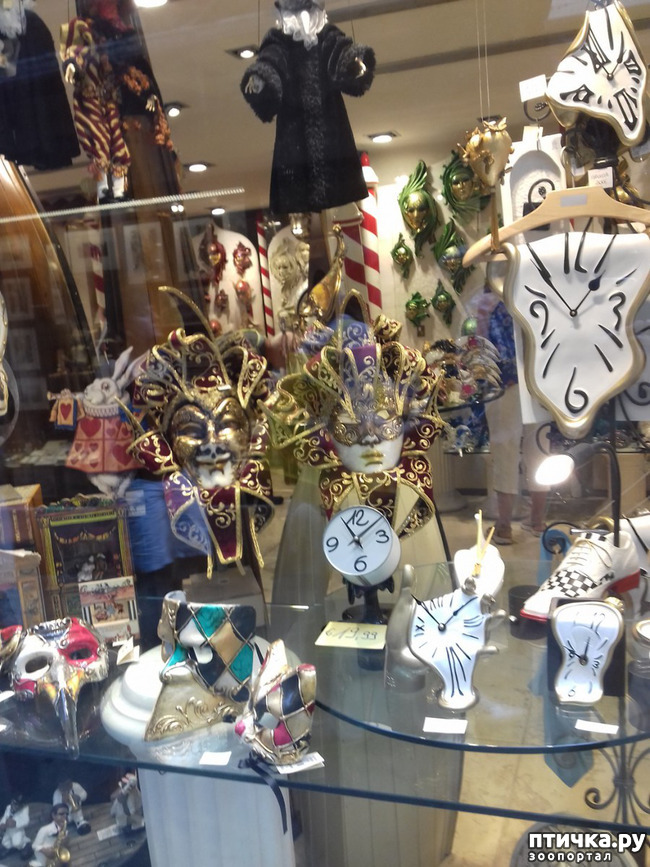 ���� 43: �������