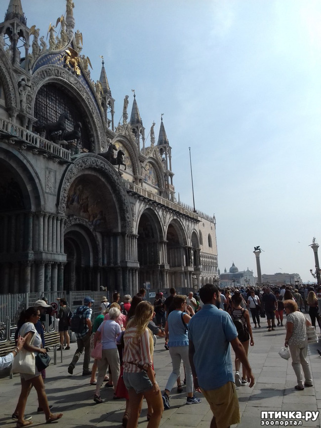 ���� 3: �������