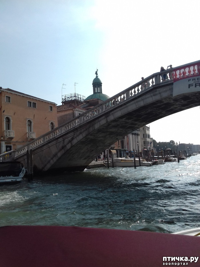 ���� 23: �������