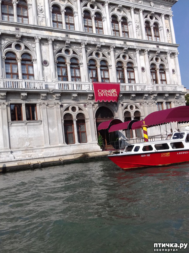 ���� 24: �������