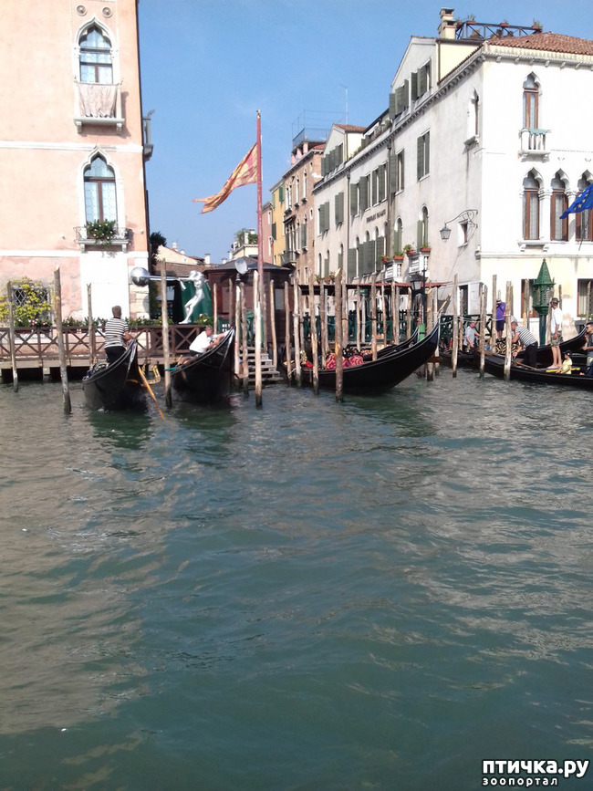 ���� 25: �������