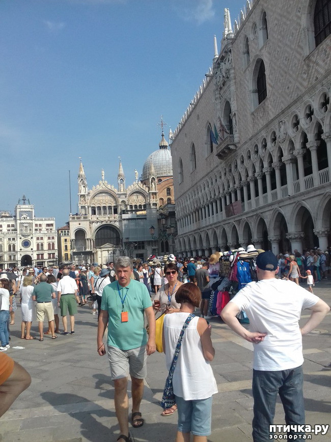 ���� 4: �������