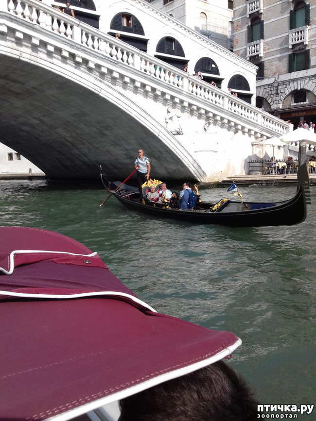 ���� 26: �������