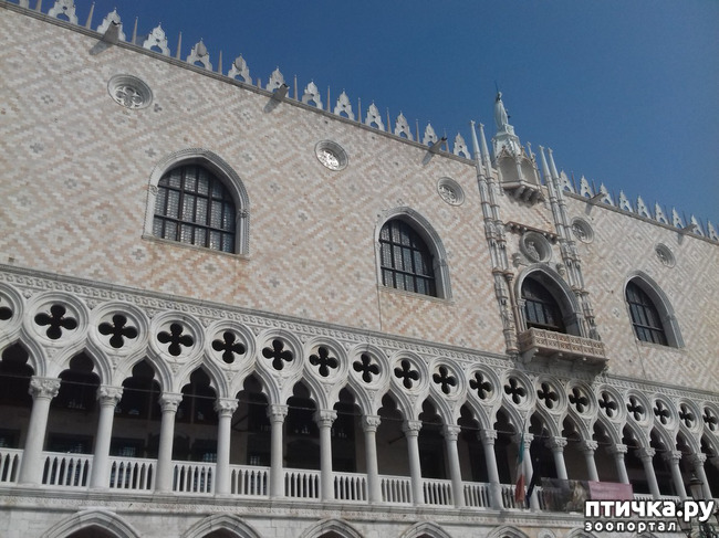 ���� 5: �������