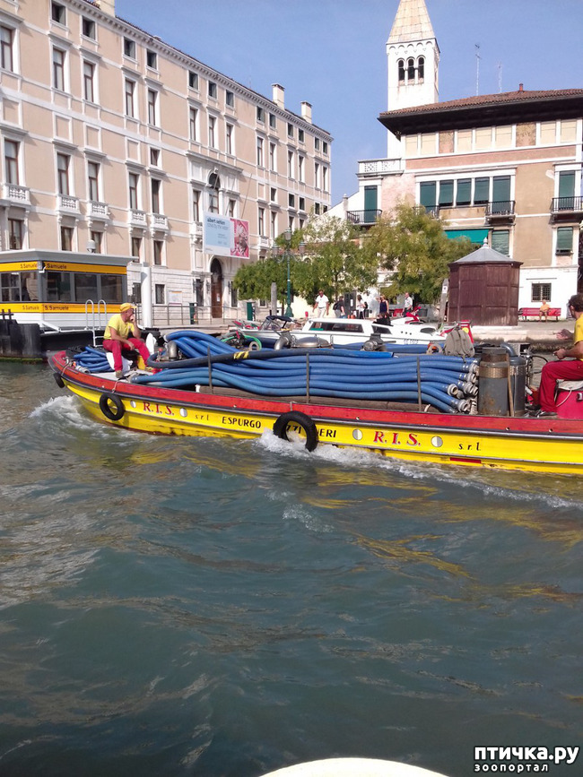 ���� 28: �������