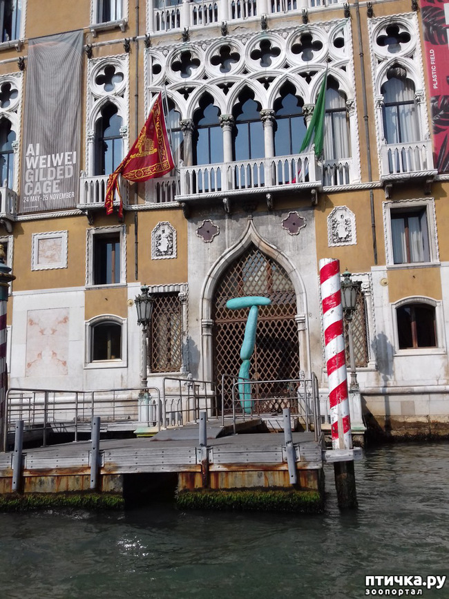 ���� 29: �������