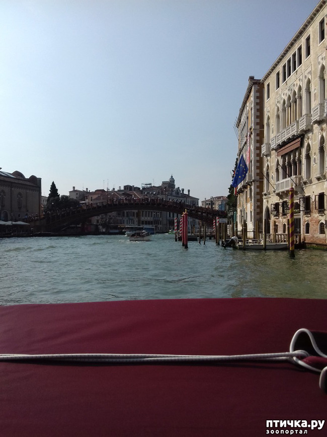 ���� 30: �������