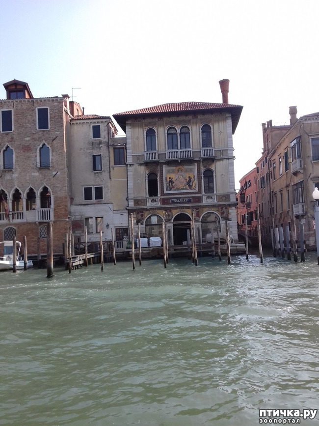 ���� 31: �������