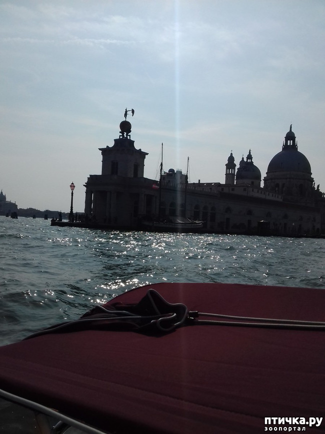 ���� 33: �������