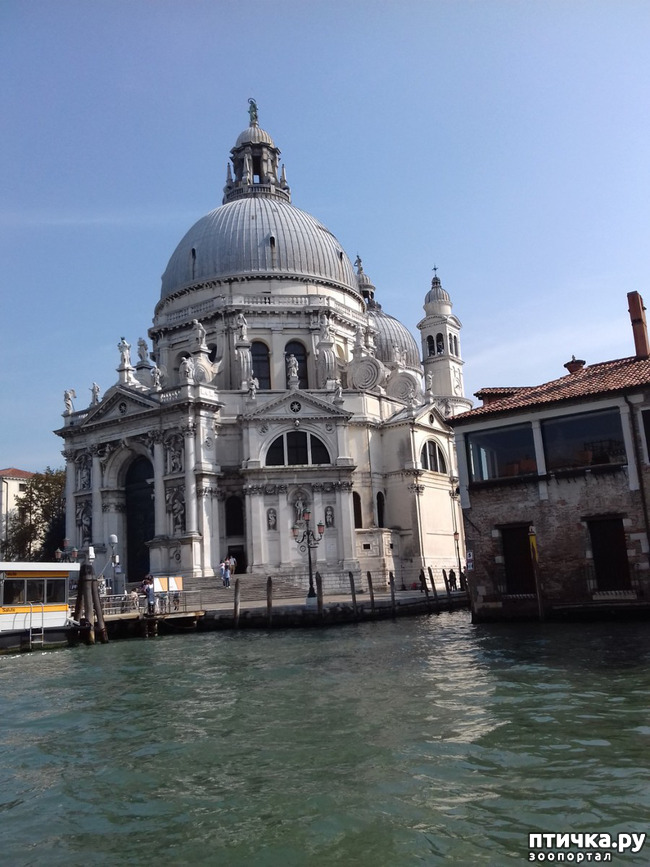 ���� 6: �������