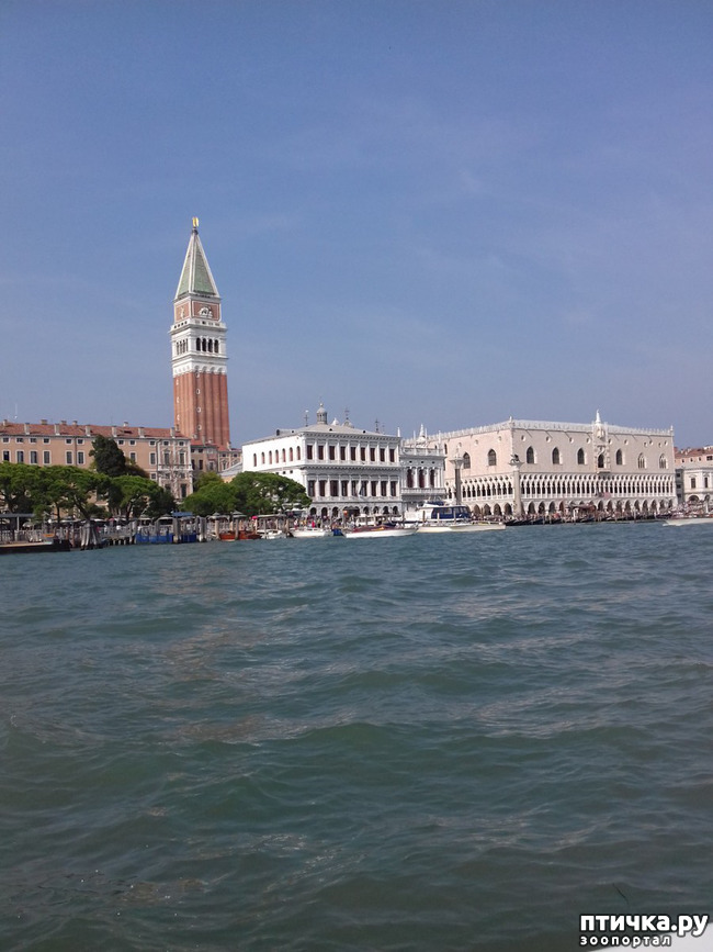 ���� 34: �������