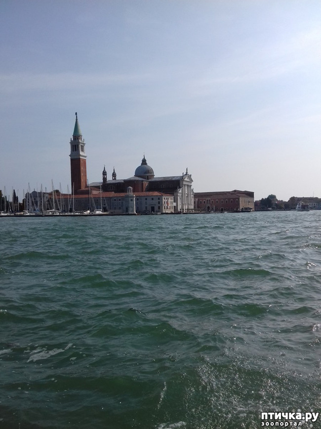 ���� 35: �������